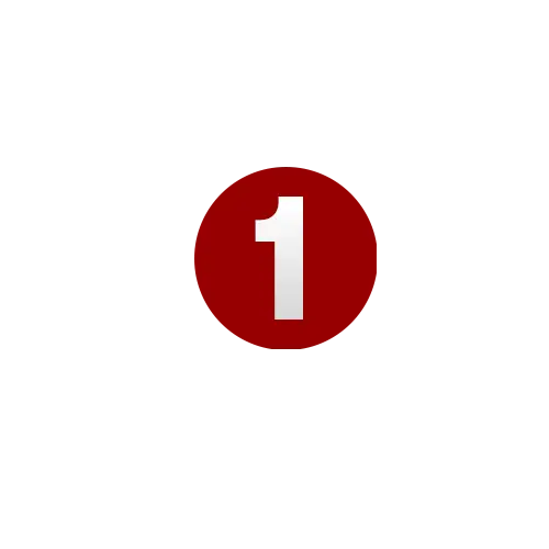 1.webp